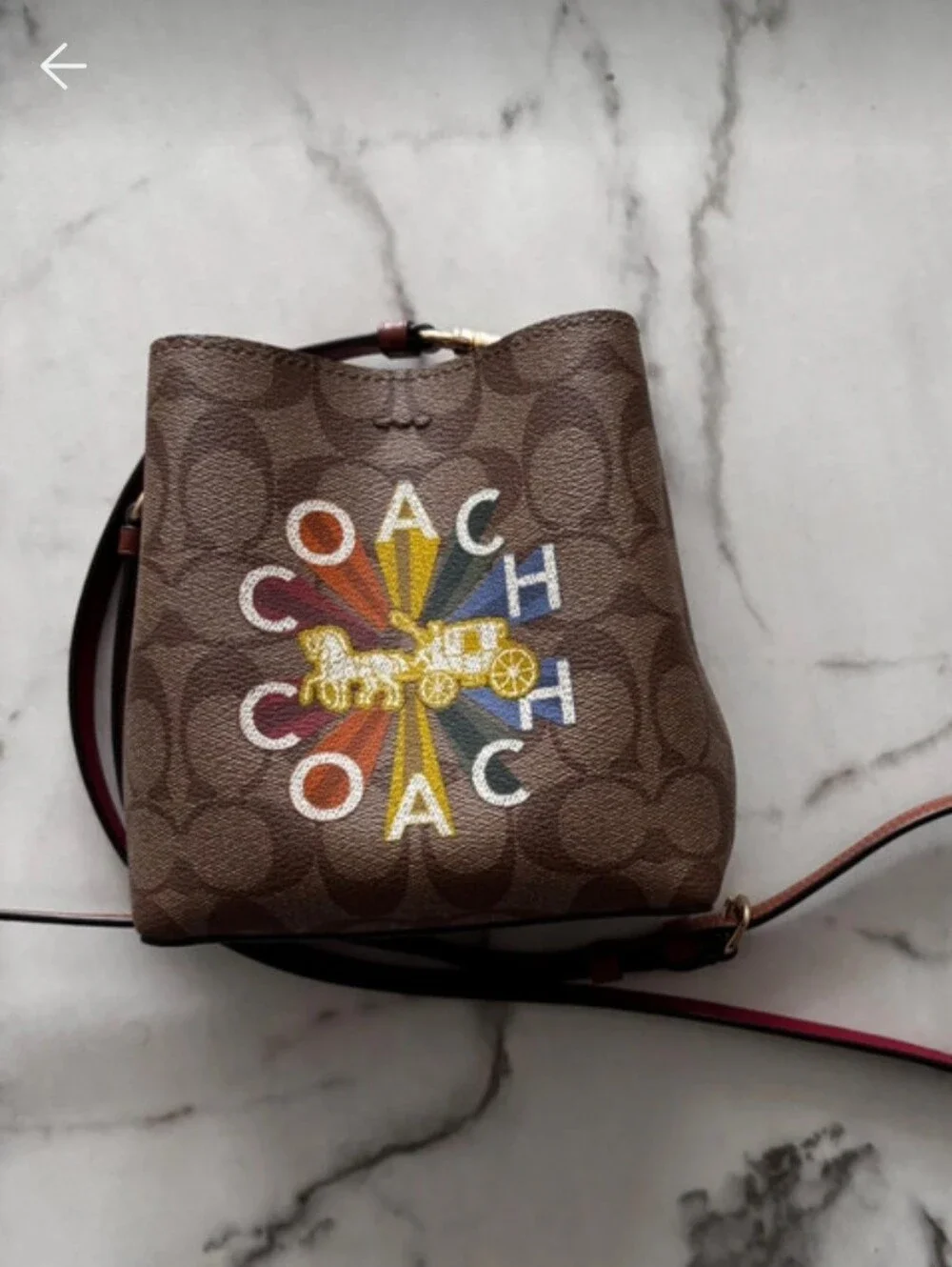 Coach Mini Town Bucket Bag